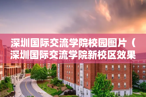 深圳国际交流学院校园图片（深圳国际交流学院新校区效果图）