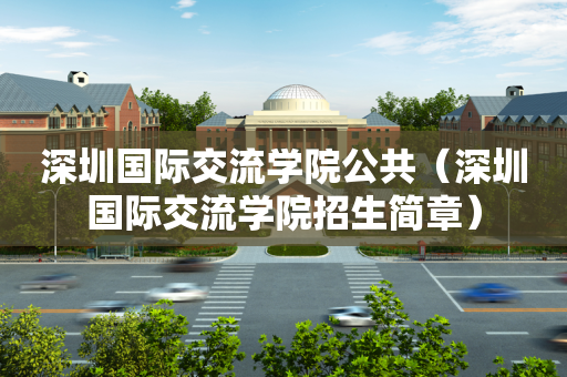 深圳国际交流学院公共（深圳国际交流学院招生简章）