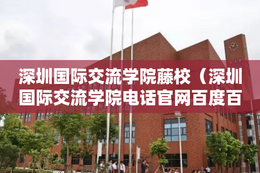 深圳国际交流学院藤校（深圳国际交流学院电话官网百度百科）