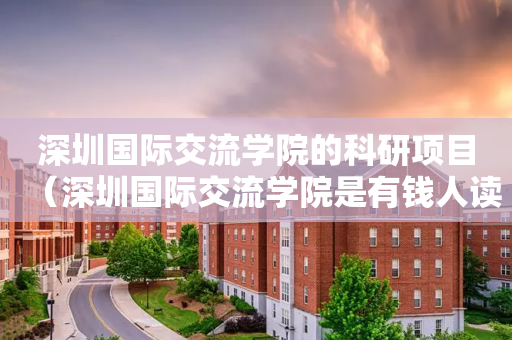 深圳国际交流学院的科研项目（深圳国际交流学院是有钱人读的吗）
