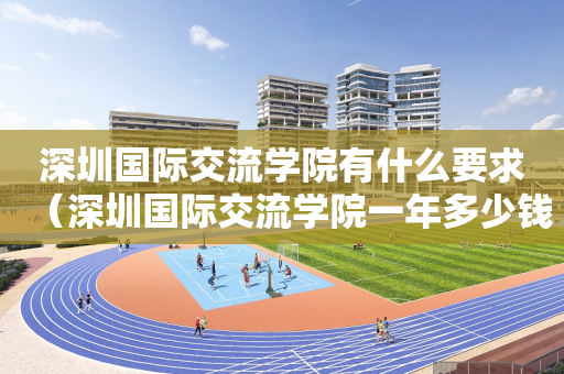 深圳国际交流学院有什么要求（深圳国际交流学院一年多少钱）
