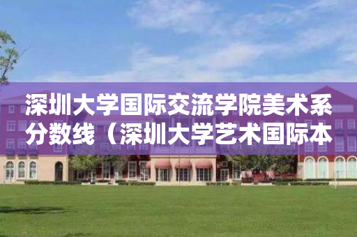 深圳大学国际交流学院美术系分数线（深圳大学艺术国际本科）