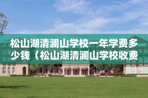 松山湖清澜山学校一年学费多少钱（松山湖清澜山学校收费标准）