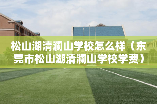 松山湖清澜山学校怎么样（东莞市松山湖清澜山学校学费）