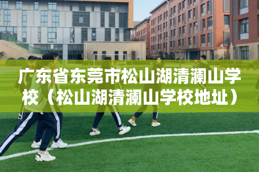 广东省东莞市松山湖清澜山学校（松山湖清澜山学校地址）