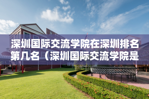 深圳国际交流学院在深圳排名第几名（深圳国际交流学院是公立还是私立）