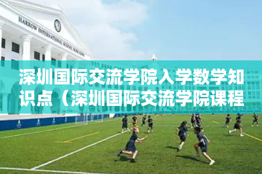 深圳国际交流学院入学数学知识点（深圳国际交流学院课程）
