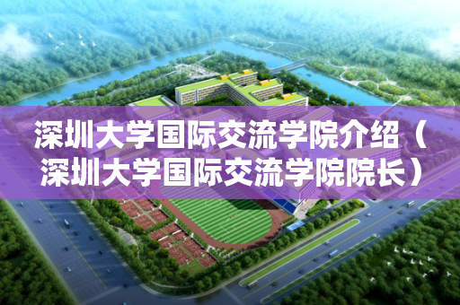 深圳大学国际交流学院介绍（深圳大学国际交流学院院长）