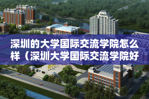深圳的大学国际交流学院怎么样（深圳大学国际交流学院好不好）