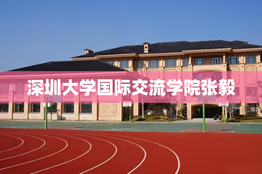 深圳大学国际交流学院张毅
