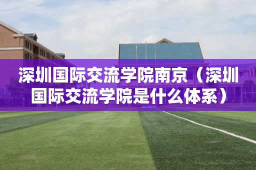 深圳国际交流学院南京（深圳国际交流学院是什么体系）