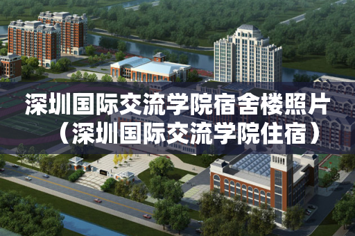 深圳国际交流学院宿舍楼照片（深圳国际交流学院住宿）