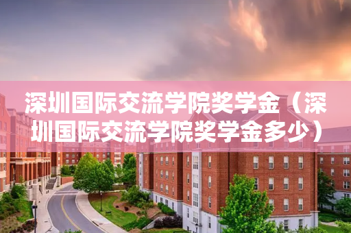 深圳国际交流学院奖学金（深圳国际交流学院奖学金多少）