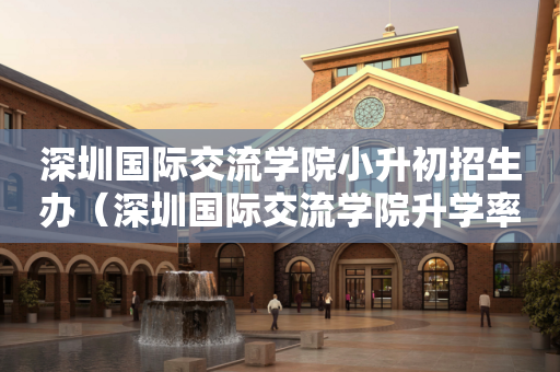 深圳国际交流学院小升初招生办（深圳国际交流学院升学率排名）