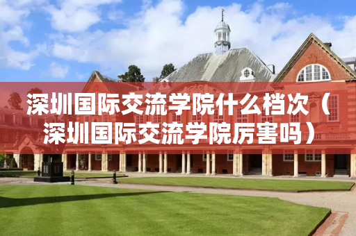 深圳国际交流学院什么档次（深圳国际交流学院厉害吗）