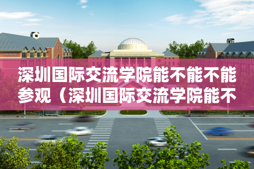深圳国际交流学院能不能不能参观（深圳国际交流学院能不能不能参观学生）