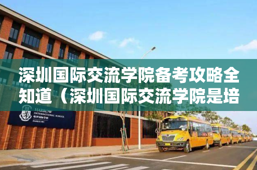深圳国际交流学院备考攻略全知道（深圳国际交流学院是培训机构吗）