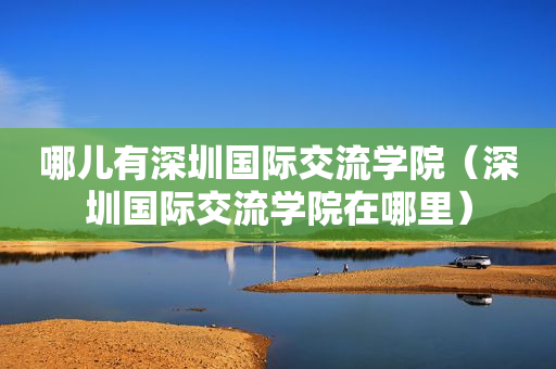 哪儿有深圳国际交流学院（深圳国际交流学院在哪里）