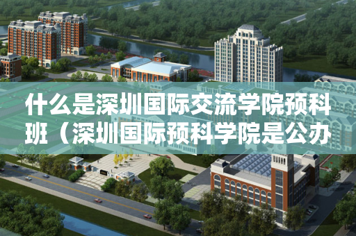 什么是深圳国际交流学院预科班（深圳国际预科学院是公办的呢）