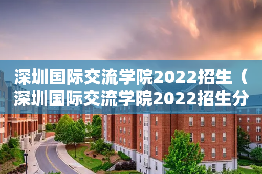 深圳国际交流学院2022招生（深圳国际交流学院2022招生分数）