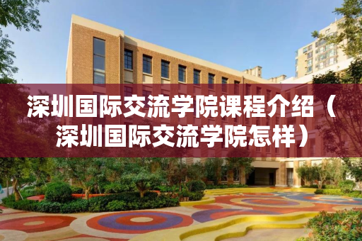 深圳国际交流学院课程介绍（深圳国际交流学院怎样）