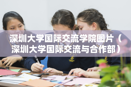 深圳大学国际交流学院图片（深圳大学国际交流与合作部）