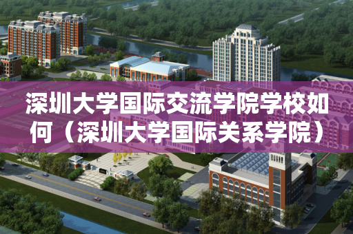 深圳大学国际交流学院学校如何（深圳大学国际关系学院）