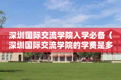深圳国际交流学院入学必备（深圳国际交流学院的学费是多少）
