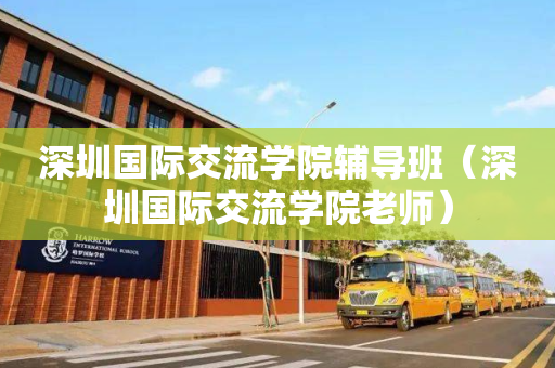 深圳国际交流学院辅导班（深圳国际交流学院老师）
