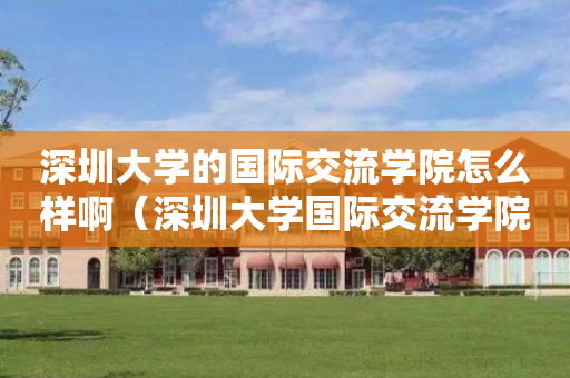 深圳大学的国际交流学院怎么样啊（深圳大学国际交流学院国际学分课程）