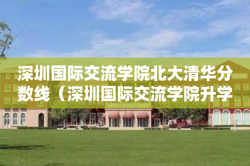 深圳国际交流学院北大清华分数线（深圳国际交流学院升学率排名）