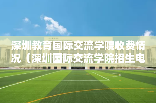 深圳教育国际交流学院收费情况（深圳国际交流学院招生电话）