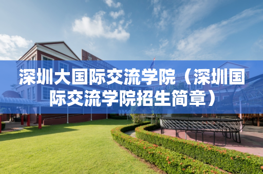 深圳大国际交流学院（深圳国际交流学院招生简章）