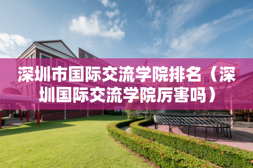 深圳市国际交流学院排名（深圳国际交流学院厉害吗）