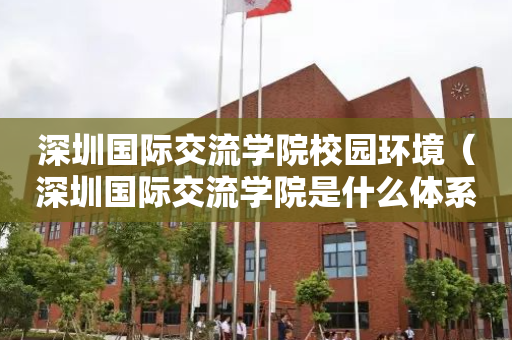 深圳国际交流学院校园环境（深圳国际交流学院是什么体系）