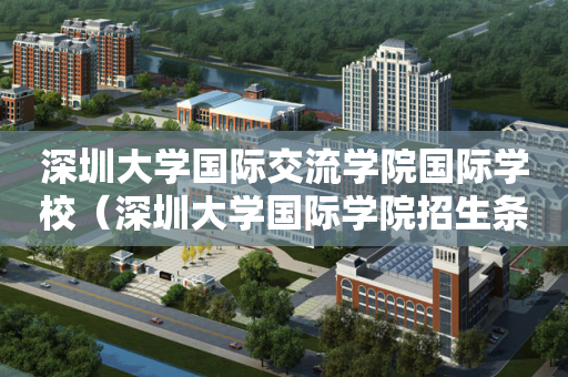 深圳大学国际交流学院国际学校（深圳大学国际学院招生条件）