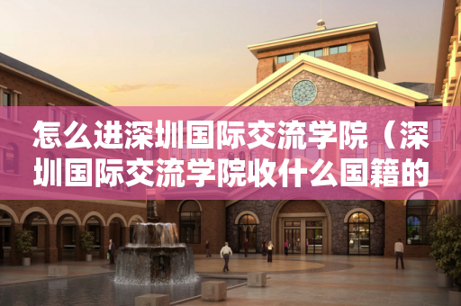 怎么进深圳国际交流学院（深圳国际交流学院收什么国籍的学生）