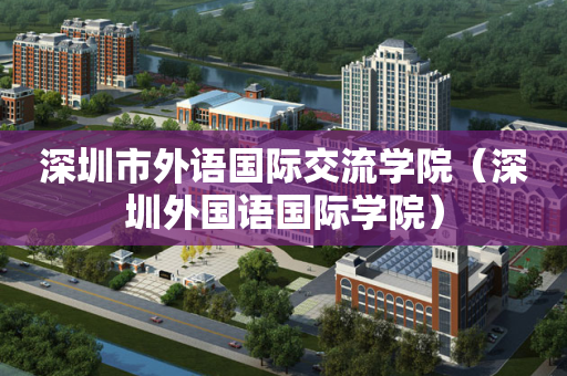 深圳市外语国际交流学院（深圳外国语国际学院）