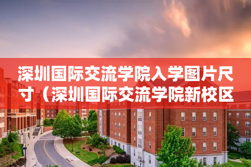 深圳国际交流学院入学图片尺寸（深圳国际交流学院新校区项目总承包）