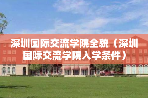 深圳国际交流学院全貌（深圳国际交流学院入学条件）