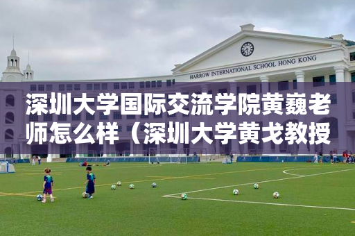 深圳大学国际交流学院黄巍老师怎么样（深圳大学黄戈教授）