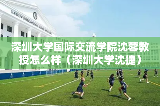 深圳大学国际交流学院沈蓉教授怎么样（深圳大学沈捷）