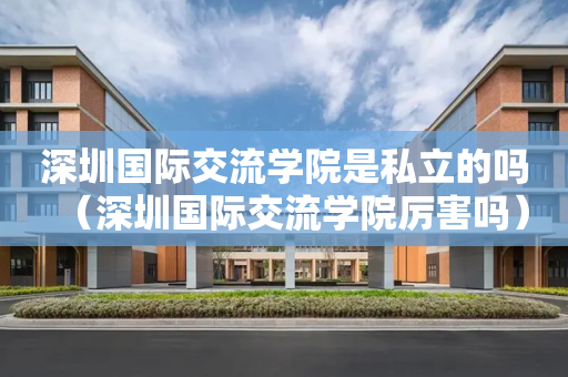 深圳国际交流学院是私立的吗（深圳国际交流学院厉害吗）