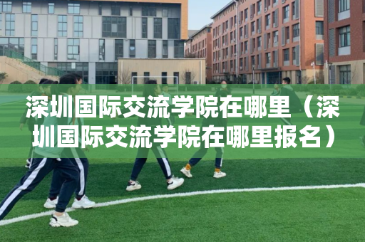 深圳国际交流学院在哪里（深圳国际交流学院在哪里报名）
