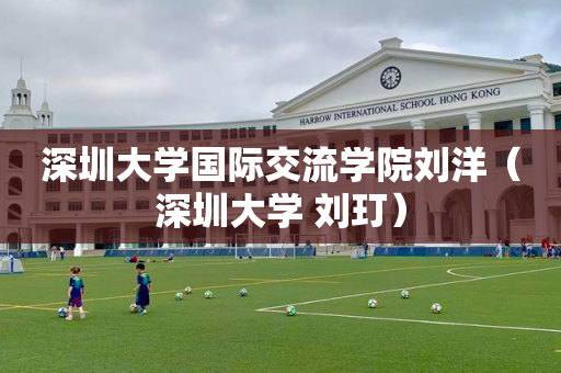 深圳大学国际交流学院刘洋（深圳大学 刘玎）