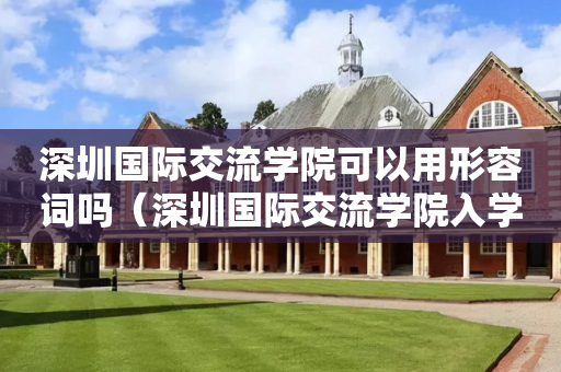 深圳国际交流学院可以用形容词吗（深圳国际交流学院入学条件）