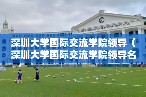 深圳大学国际交流学院领导（深圳大学国际交流学院领导名单）