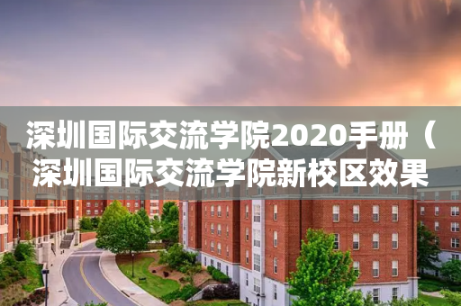 深圳国际交流学院2020手册（深圳国际交流学院新校区效果图）