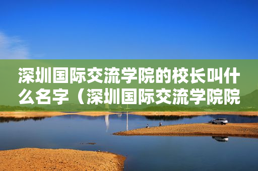 深圳国际交流学院的校长叫什么名字（深圳国际交流学院院长）