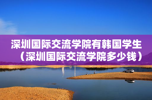 深圳国际交流学院有韩国学生（深圳国际交流学院多少钱）